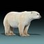 Polar Bear(FUR)