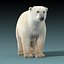 Polar Bear(FUR)