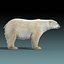 Polar Bear(FUR)