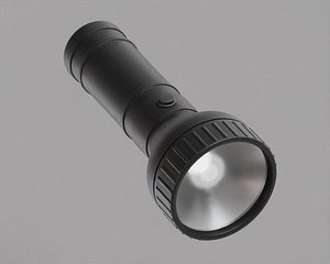 3D Flash light 3d model model