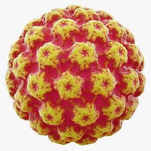 Virus Bacteria