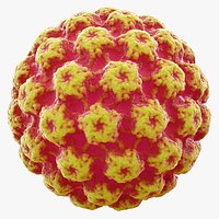 Virus Bacteria