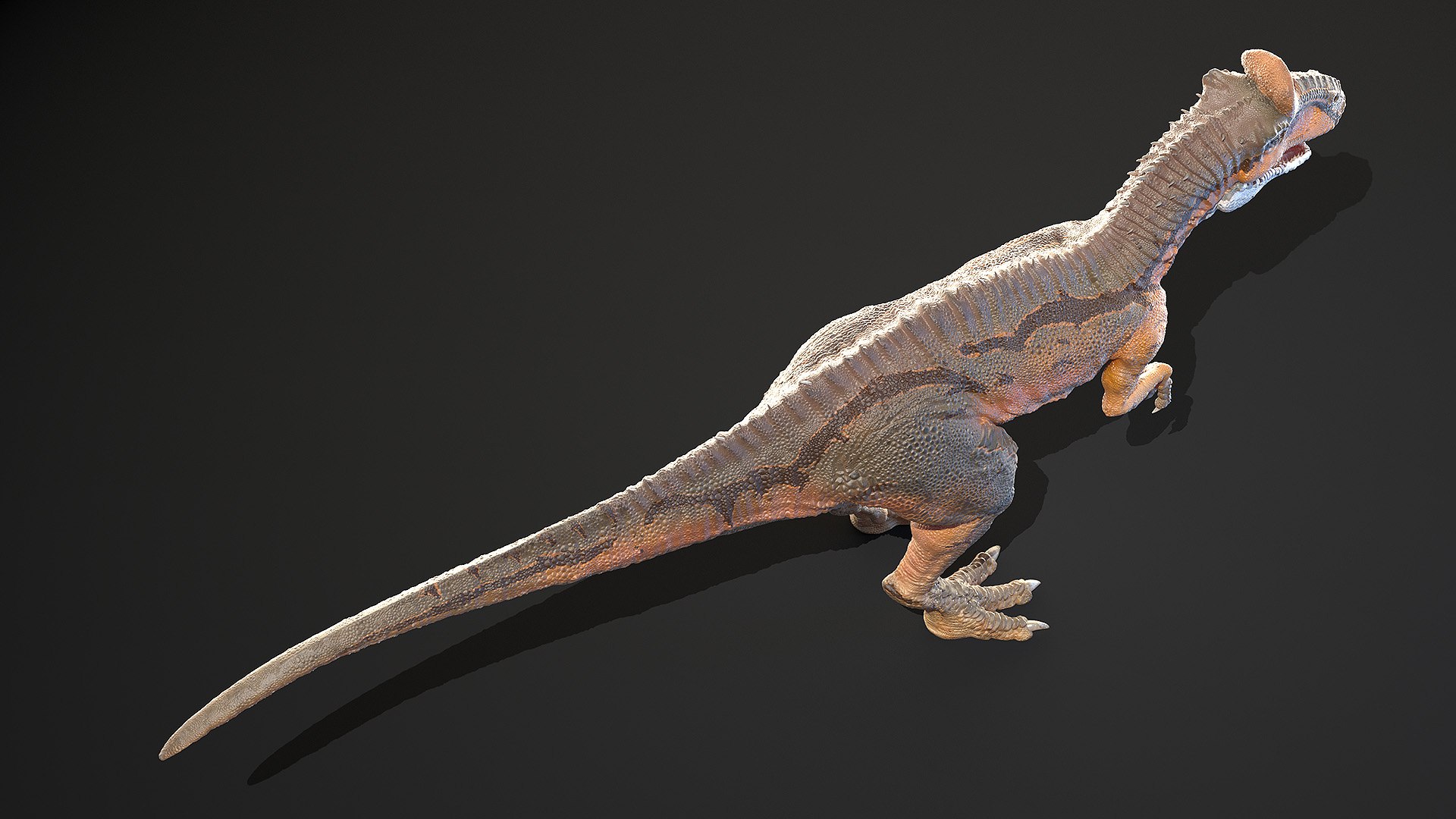 dinopack dino 3D model https://p.turbosquid.com/ts-thumb/PL/VEpnqg/1j/cryolophosaurus0005/jpg/1610700884/1920x1080/fit_q87/5bb41f3c91cbfaafd036e6fc884bc704ec225456/cryolophosaurus0005.jpg