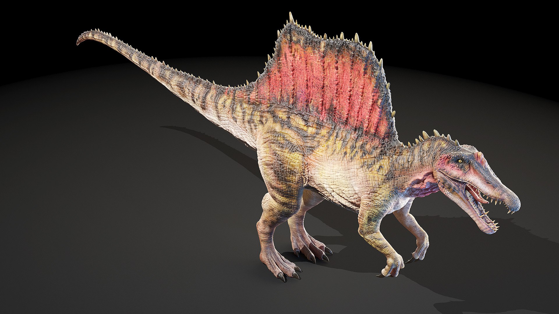 dinopack dino 3D model https://p.turbosquid.com/ts-thumb/PL/VEpnqg/9S/spinosaurus0003/jpg/1610701025/1920x1080/fit_q87/718dda729479c3fd3e40eb3dbc7ff8016d50b7b1/spinosaurus0003.jpg