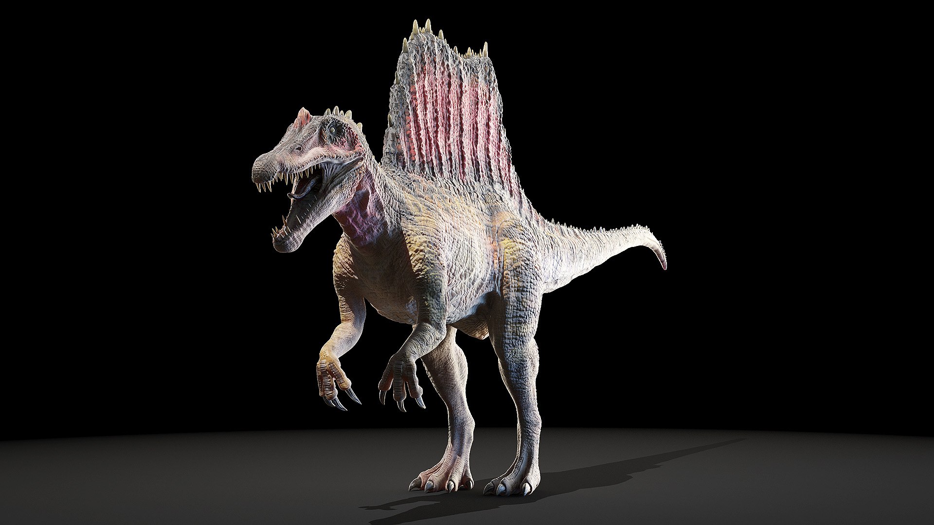 dinopack dino 3D model https://p.turbosquid.com/ts-thumb/PL/VEpnqg/Dt/spinosaurus0002/jpg/1610701031/1920x1080/fit_q87/141755eff3a56dafacea95f3f54006cd6d873eb0/spinosaurus0002.jpg