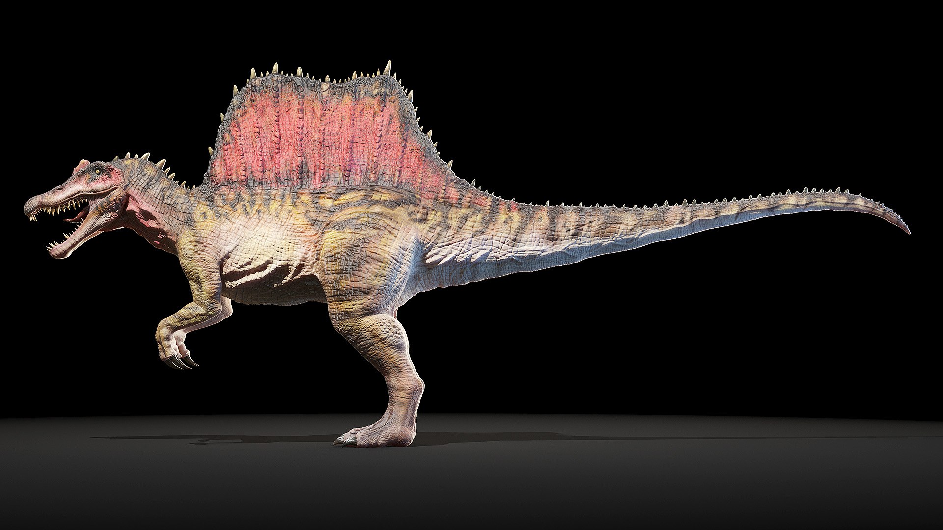 dinopack dino 3D model https://p.turbosquid.com/ts-thumb/PL/VEpnqg/E6/spinosaurus0000/jpg/1610701021/1920x1080/fit_q87/0766e40d91fdc5486dffbd3fe3a0c8808b35d851/spinosaurus0000.jpg