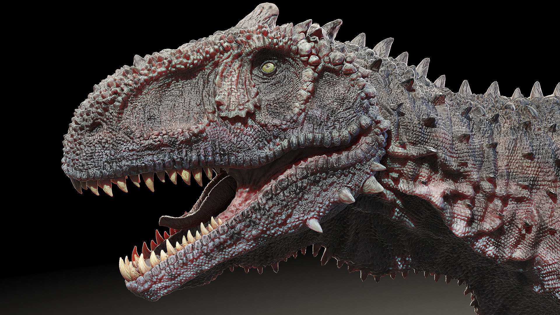 dinopack dino 3D model https://p.turbosquid.com/ts-thumb/PL/VEpnqg/Hs/rajasaurus0006/jpg/1610701004/1920x1080/fit_q87/966ddca4976ca5002b30a3aedfb67b2d94767444/rajasaurus0006.jpg