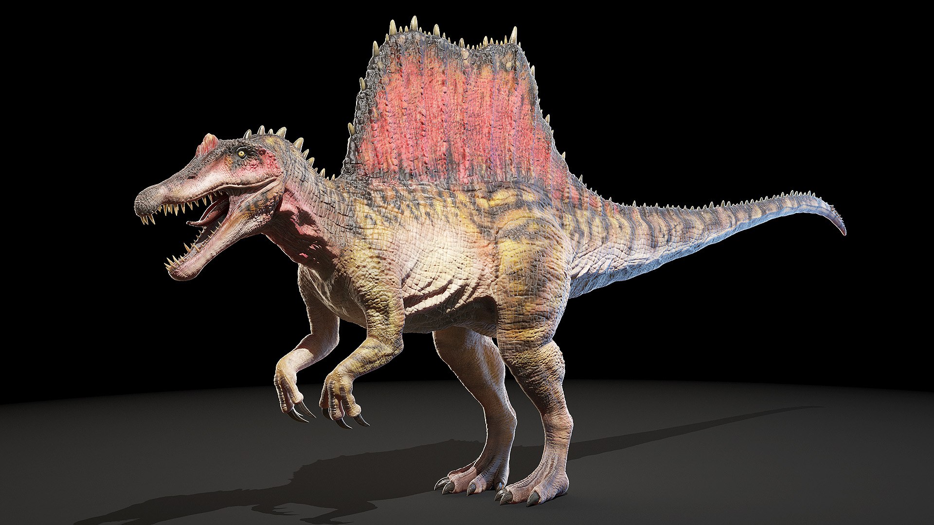 dinopack dino 3D model https://p.turbosquid.com/ts-thumb/PL/VEpnqg/PS/spinosaurus0001/jpg/1610701026/1920x1080/fit_q87/890eabd5297f6e686cdf55a9df5751ae1072b7cf/spinosaurus0001.jpg