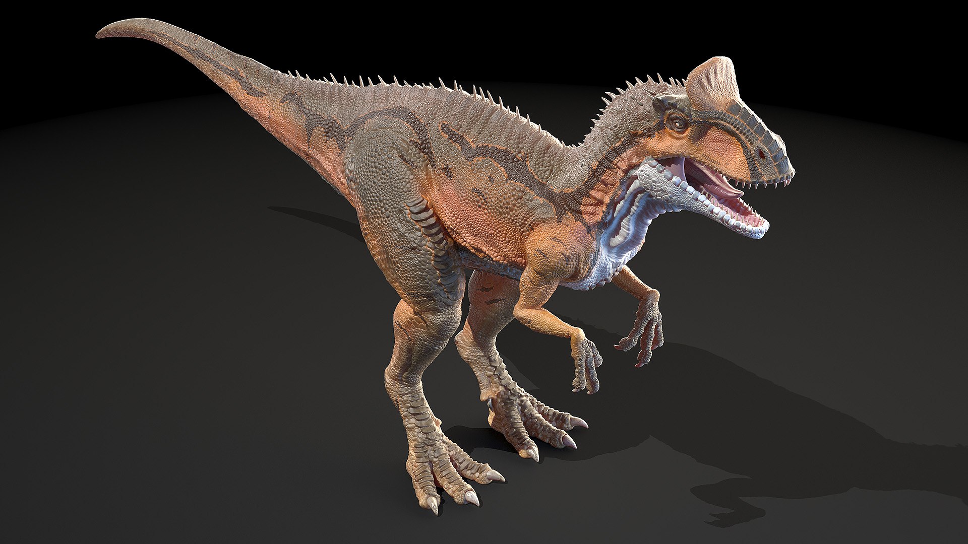dinopack dino 3D model https://p.turbosquid.com/ts-thumb/PL/VEpnqg/T7/cryolophosaurus0003/jpg/1610700884/1920x1080/fit_q87/c4f9668d2f7cf8351c99d30e1aeab52d5dcf1be0/cryolophosaurus0003.jpg