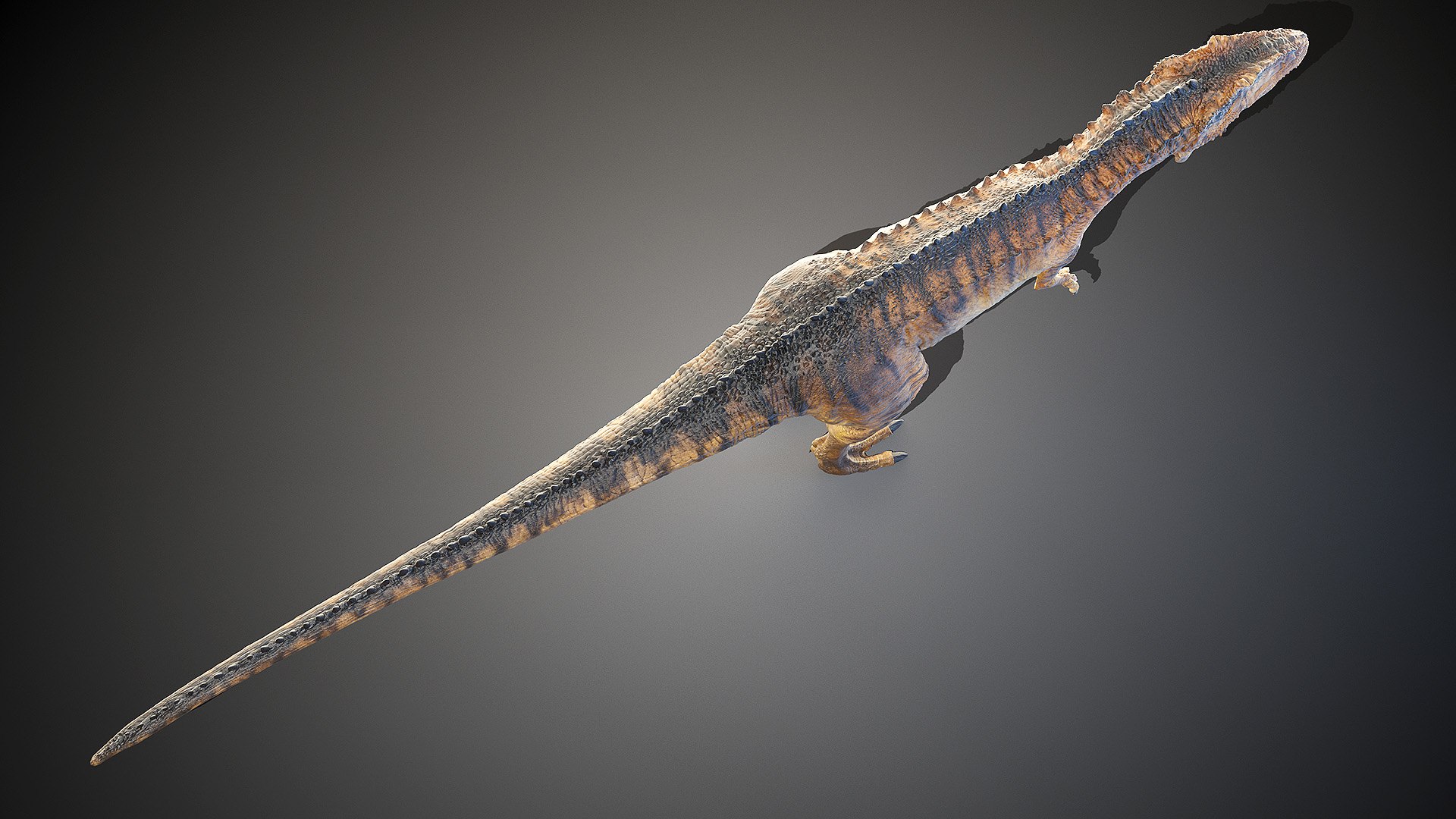 dinopack dino 3D model https://p.turbosquid.com/ts-thumb/PL/VEpnqg/X7/carcharodontosaurus0004/jpg/1610700781/1920x1080/fit_q87/18cd59ace136f6f9119374a3c3eac735ea38a4b4/carcharodontosaurus0004.jpg