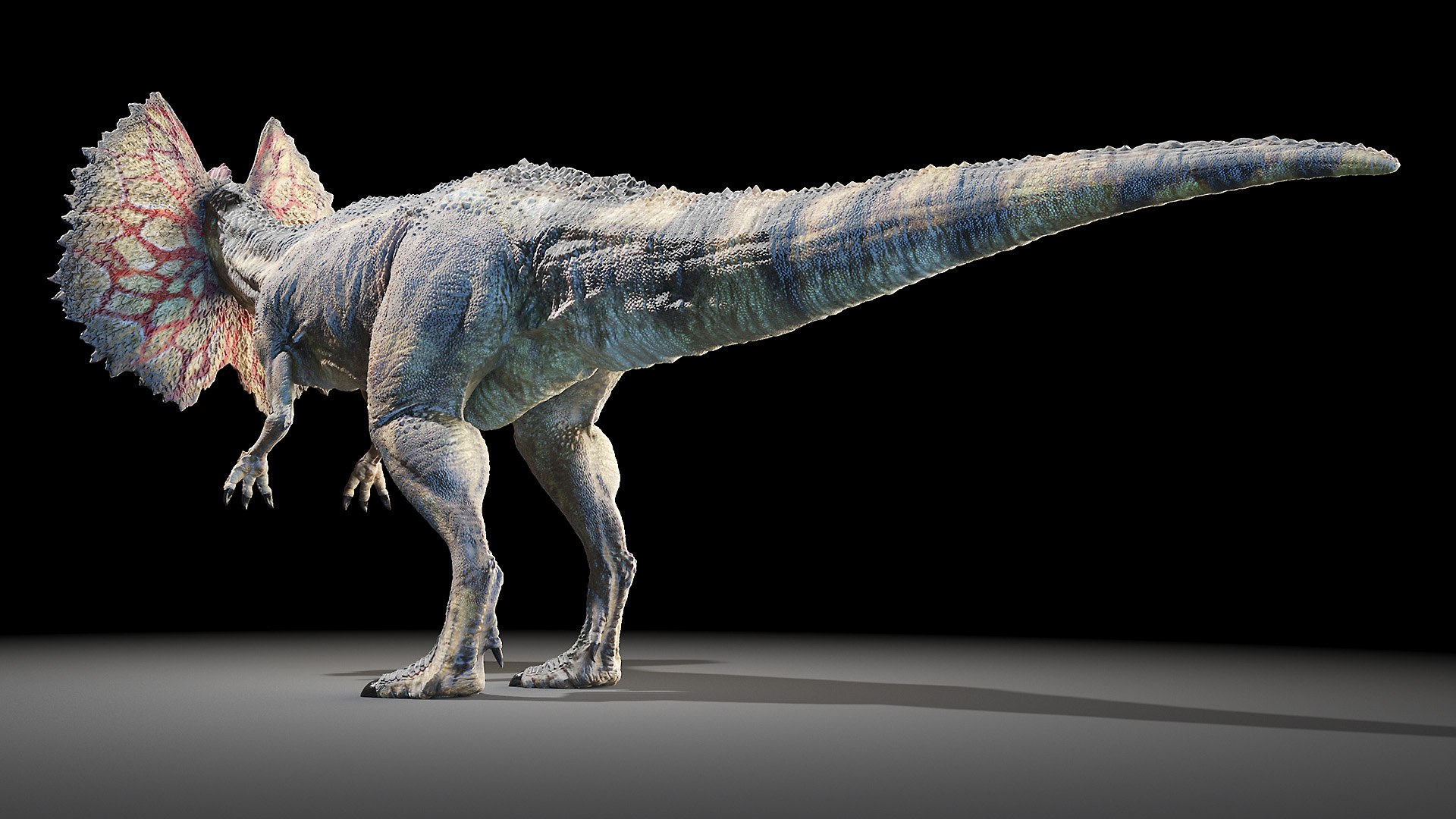 dinopack dino 3D model https://p.turbosquid.com/ts-thumb/PL/VEpnqg/Zp/dilophosaurus0002/jpg/1610700934/1920x1080/fit_q87/ef6e607fa2a5ab1795798797465ee31ce8b0a4a7/dilophosaurus0002.jpg