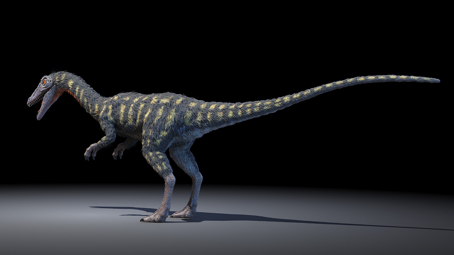 dinopack dino 3D model https://p.turbosquid.com/ts-thumb/PL/VEpnqg/cW/coelophysis0002/jpg/1610700836/1920x1080/fit_q87/36a43b4c5ed3999b77dda5f70e85f88b88c8b31e/coelophysis0002.jpg