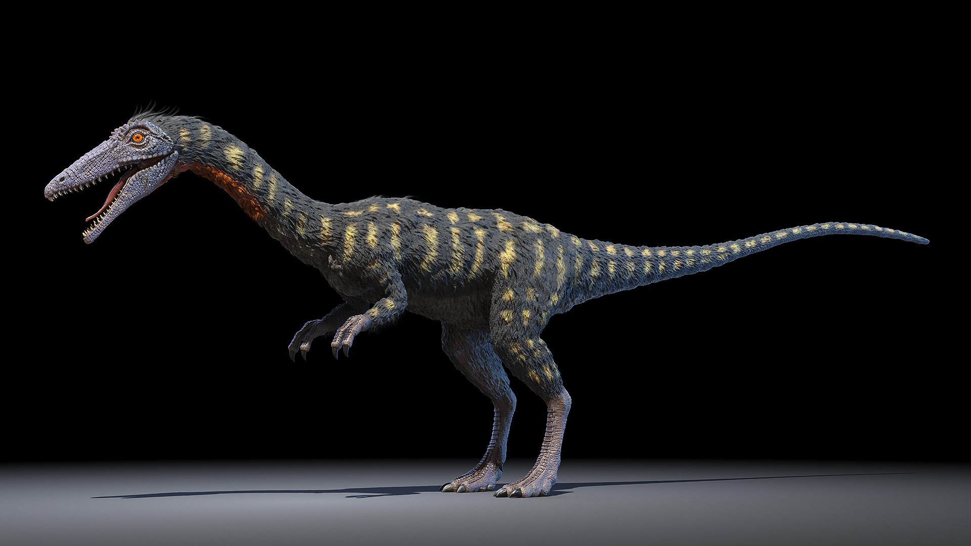 dinopack dino 3D model https://p.turbosquid.com/ts-thumb/PL/VEpnqg/gw/coelophysis0001/jpg/1610700836/1920x1080/fit_q87/95f42fd8916f26b9d7de8abad85a0ef00859defe/coelophysis0001.jpg