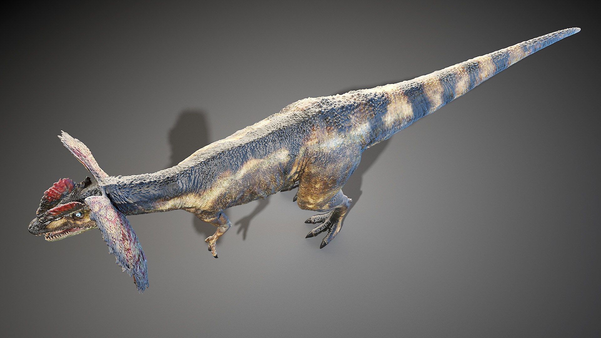dinopack dino 3D model https://p.turbosquid.com/ts-thumb/PL/VEpnqg/jo/dilophosaurus0004/jpg/1610700934/1920x1080/fit_q87/c2f9cb435a903bfb8b7f68e97adb56e619a96257/dilophosaurus0004.jpg