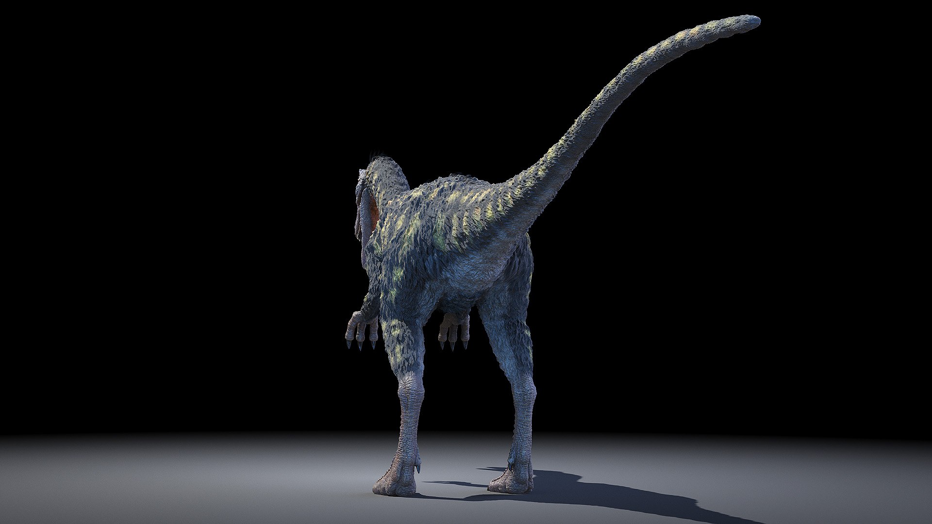 dinopack dino 3D model https://p.turbosquid.com/ts-thumb/PL/VEpnqg/lD/coelophysis0003/jpg/1610700837/1920x1080/fit_q87/a96ccb983a188ae2630a4682d0cebb24b512c50e/coelophysis0003.jpg