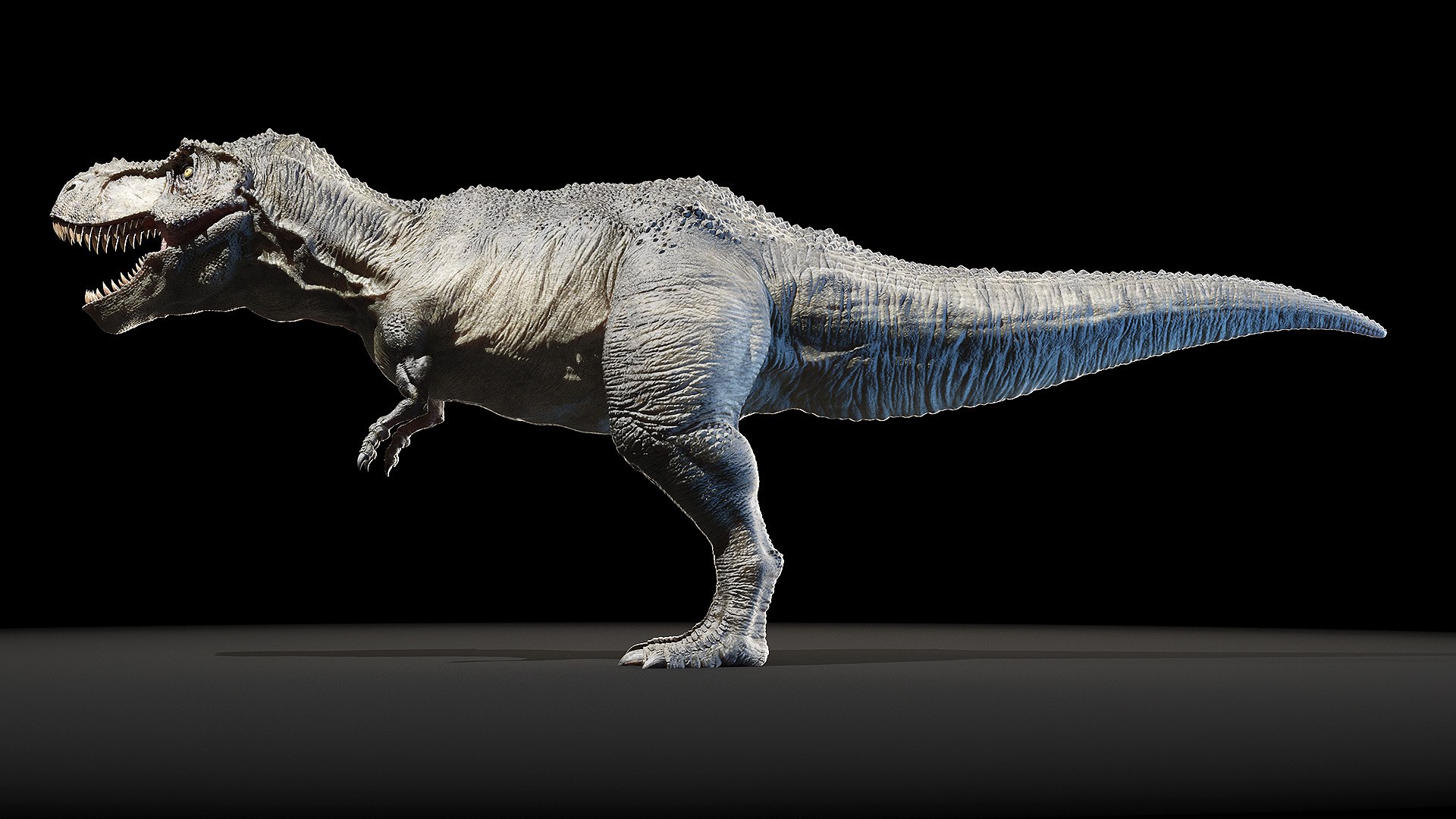 dinopack dino 3D model https://p.turbosquid.com/ts-thumb/PL/VEpnqg/oK/trex0000/jpg/1610701047/1920x1080/fit_q87/c635558611570a08e479fee7ad273c81ee76992f/trex0000.jpg