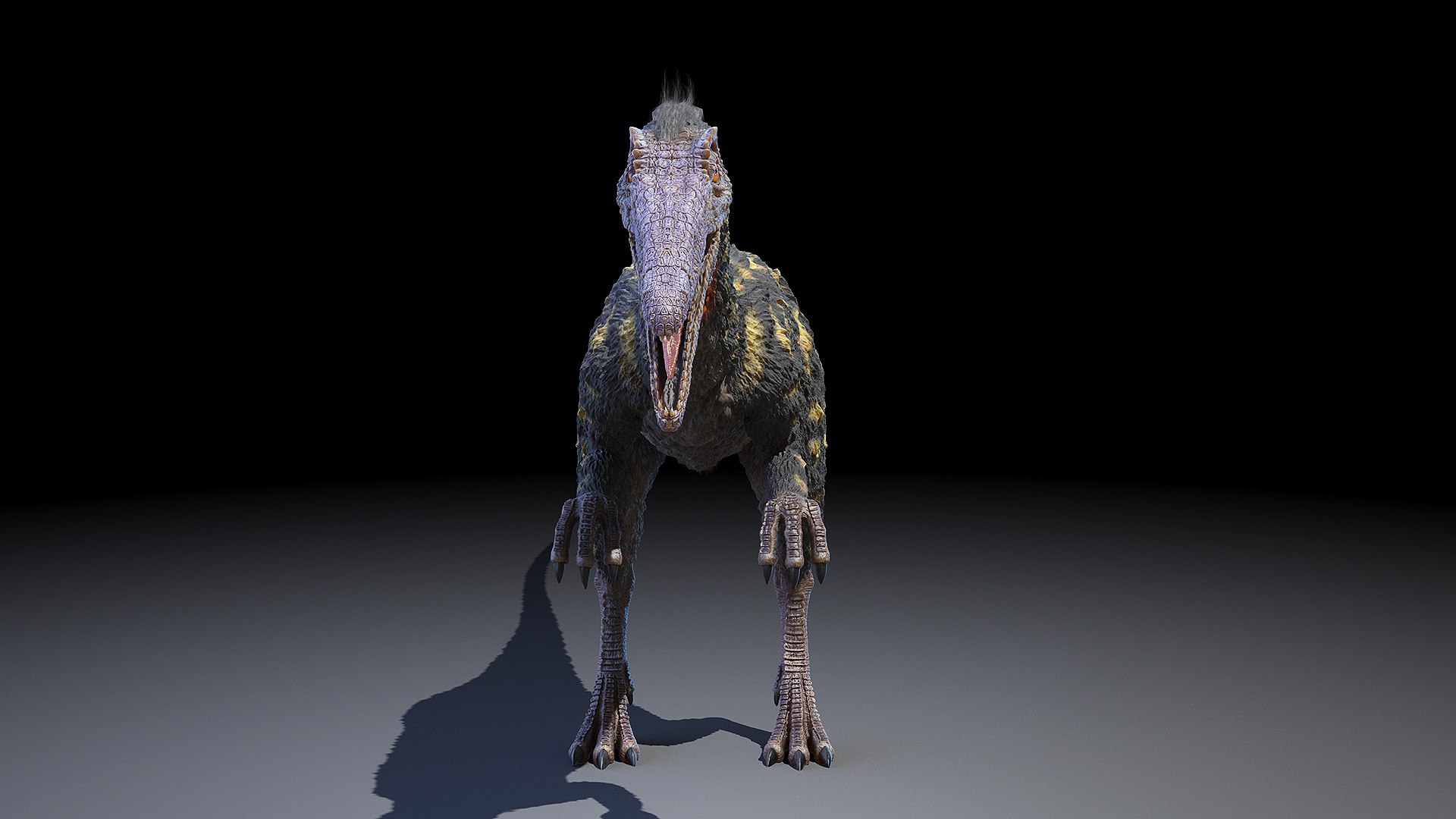 dinopack dino 3D model https://p.turbosquid.com/ts-thumb/PL/VEpnqg/oq/coelophysis0005/jpg/1610700837/1920x1080/fit_q87/8680083084a01a6e590ba55cf6d95343e52a6fe9/coelophysis0005.jpg