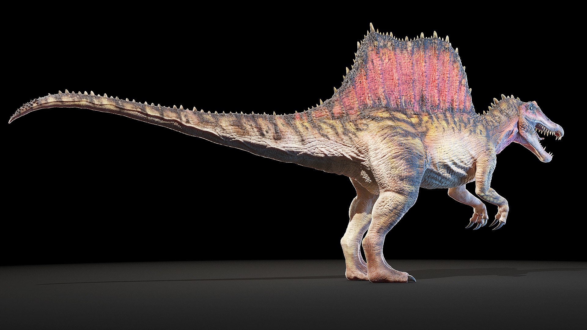 dinopack dino 3D model https://p.turbosquid.com/ts-thumb/PL/VEpnqg/sV/spinosaurus0004/jpg/1610701023/1920x1080/fit_q87/b6941497ad4c4208b5472373deaec766ff0e319f/spinosaurus0004.jpg