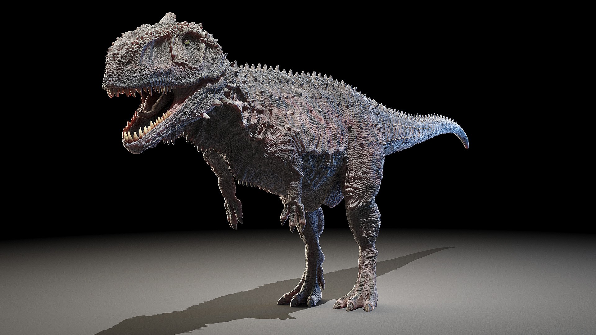 dinopack dino 3D model https://p.turbosquid.com/ts-thumb/PL/VEpnqg/ux/rajasaurus0001/jpg/1610701004/1920x1080/fit_q87/eee2f0b6dad5286b5fdf9c6984cd3065c0ca20b1/rajasaurus0001.jpg