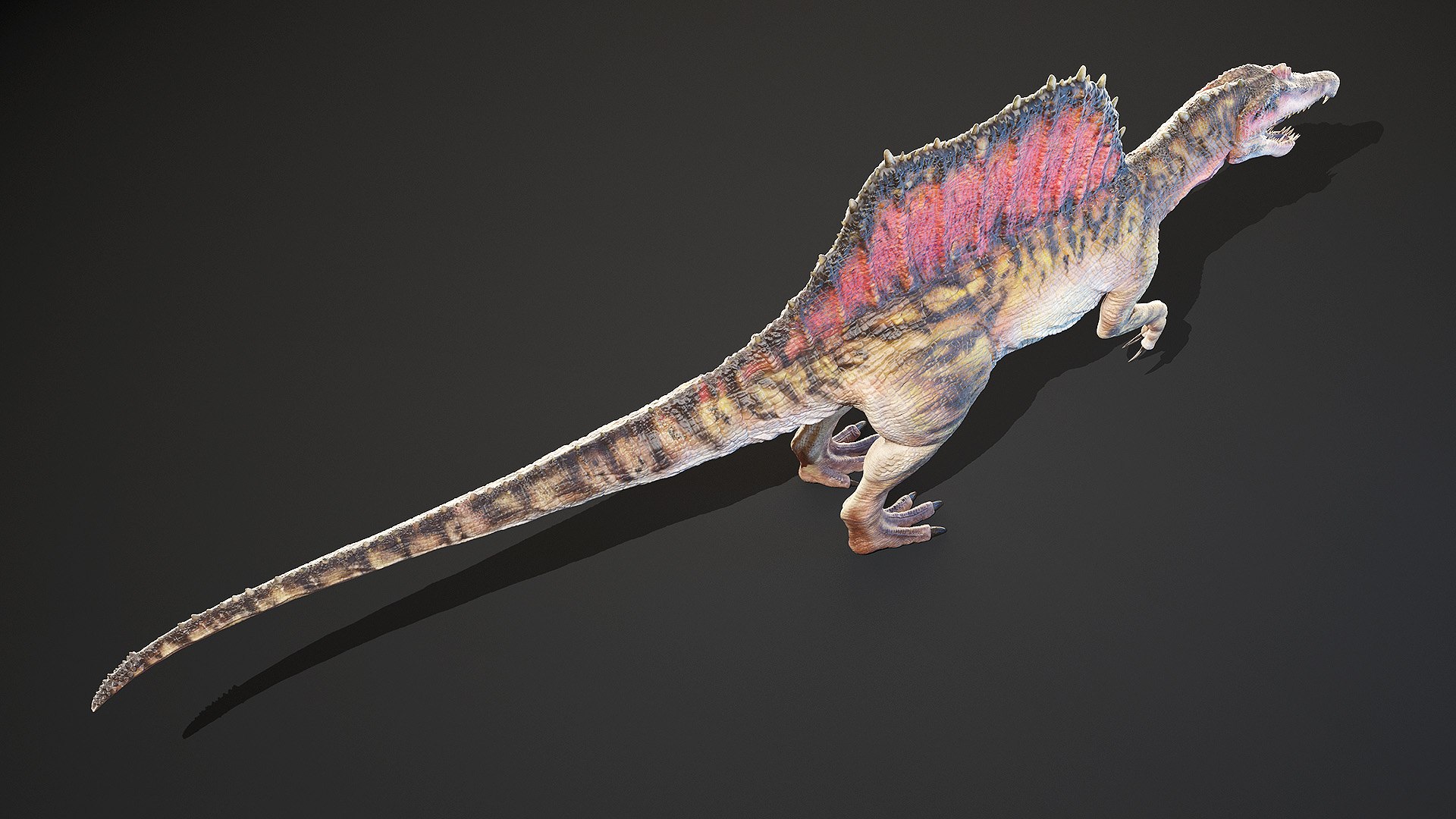 dinopack dino 3D model https://p.turbosquid.com/ts-thumb/PL/VEpnqg/wq/spinosaurus0005/jpg/1610701024/1920x1080/fit_q87/28233ad28182fb953b23c2241f3a09bd4007ae75/spinosaurus0005.jpg