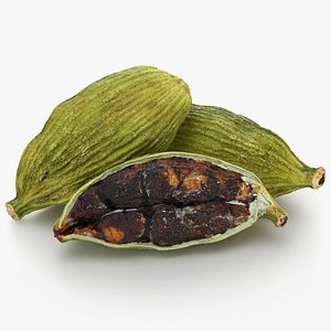 3D Cardamom Spice Pods