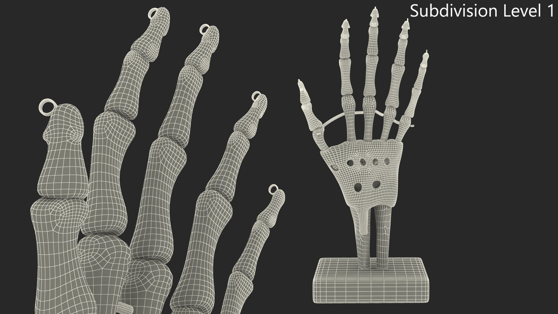 Anatomical Wrist Joint Model with Flexor Retinaculum 3D model https://p.turbosquid.com/ts-thumb/PL/Zrx2T3/hY/anatomical_wrist_joint_model_with_flexor_retinaculum_010/jpg/1753929595/1920x1080/fit_q87/55da4365b022ccac140d9958068365b138487a8e/anatomical_wrist_joint_model_with_flexor_retinaculum_010.jpg