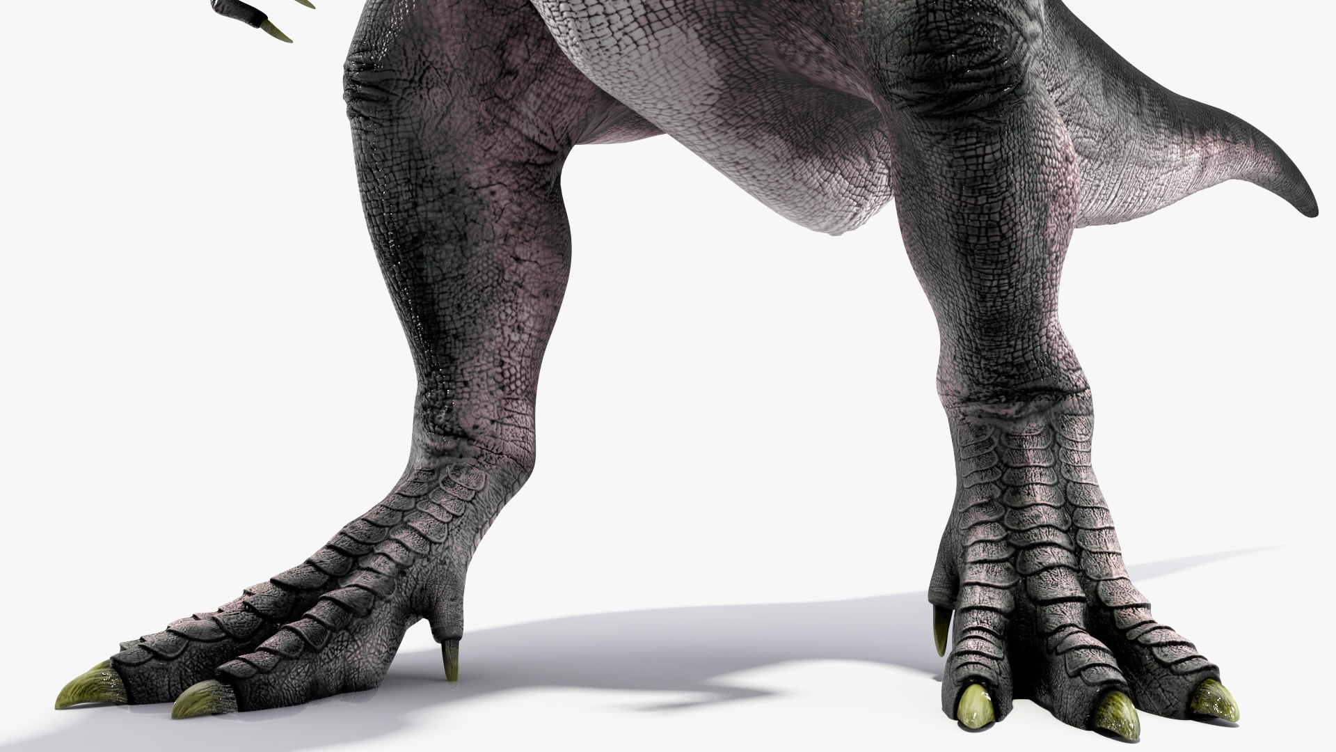 3D T Rex Rigged for Cinema 4D https://p.turbosquid.com/ts-thumb/PL/gixh63/21/trexriggedforcinema4dvray3dmodel026/jpg/1691821357/1920x1080/fit_q87/4f4bccd64eb57c36d4ee920c9703caa534112915/trexriggedforcinema4dvray3dmodel026.jpg
