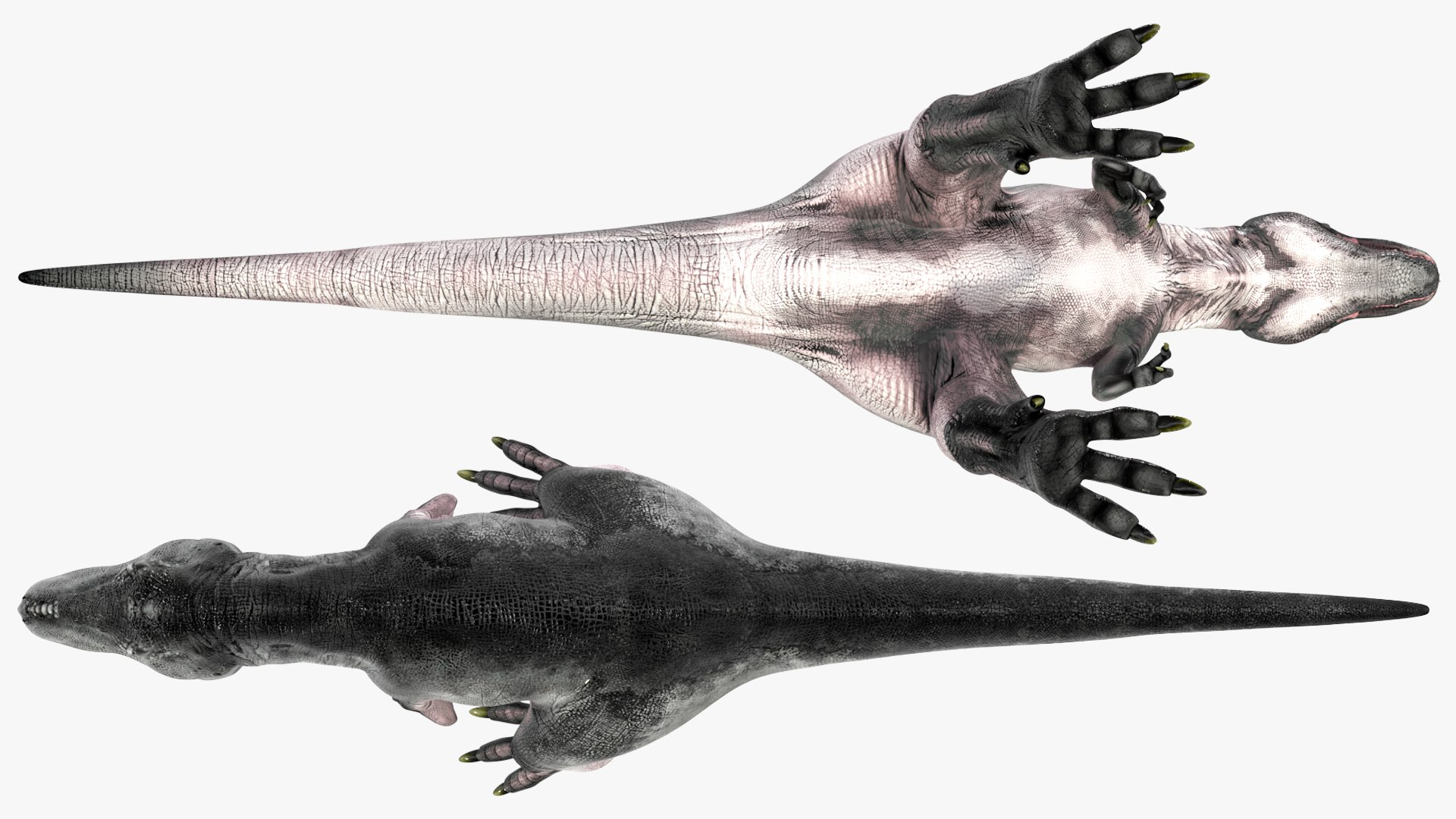 3D T Rex Rigged for Cinema 4D https://p.turbosquid.com/ts-thumb/PL/gixh63/8t/trexriggedforcinema4dvray3dmodel020/jpg/1691821337/1920x1080/fit_q87/8bc6199030020e6ffaf22dbfcc5d059902a22a37/trexriggedforcinema4dvray3dmodel020.jpg