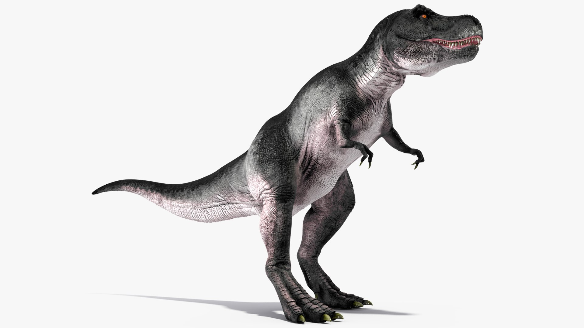 3D T Rex Rigged for Cinema 4D https://p.turbosquid.com/ts-thumb/PL/gixh63/H9/trexriggedforcinema4dvray3dmodel010/jpg/1691821299/1920x1080/fit_q87/4c85e34cca7d39cd11ef7619a6438edb780f1275/trexriggedforcinema4dvray3dmodel010.jpg