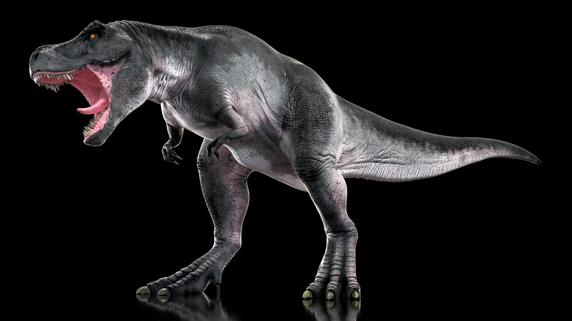 3D T Rex Rigged for Cinema 4D https://p.turbosquid.com/ts-thumb/PL/gixh63/w9/trexriggedforcinema4dvray3dmodel009/jpg/1691821296/1920x1080/fit_q87/13f59218eaf01038b5665d28a13b1198987107ab/trexriggedforcinema4dvray3dmodel009.jpg