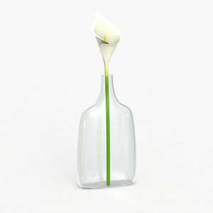 max modern vase flower