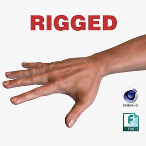 Male Hand Rigged for Cinema 4D FBX 3D model