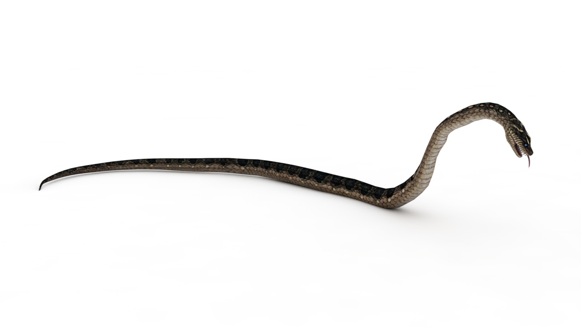 Serpente Na Tela Prank Serpente Tela, Serpentes Na Tela 3D Snake Reptile  Online, serpente, animais, escalado réptil png