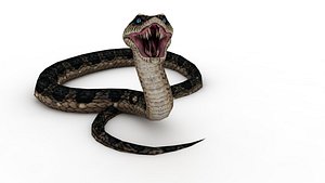 3D Cobra snake