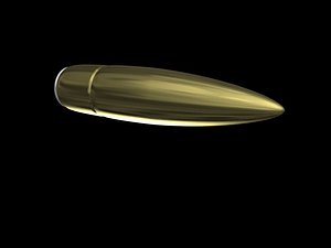 bullet