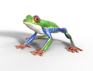 3D amazon frog