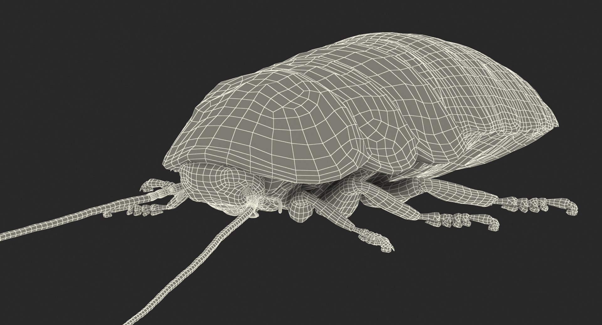 Creeping Insects Collection 6 3D model https://p.turbosquid.com/ts-thumb/PM/421YHf/1r/creepinginsectscollection63dsmodel085/jpg/1649712295/1920x1080/fit_q87/bd5d785fb5ce392921bf86c40c202d35c0aadcec/creepinginsectscollection63dsmodel085.jpg