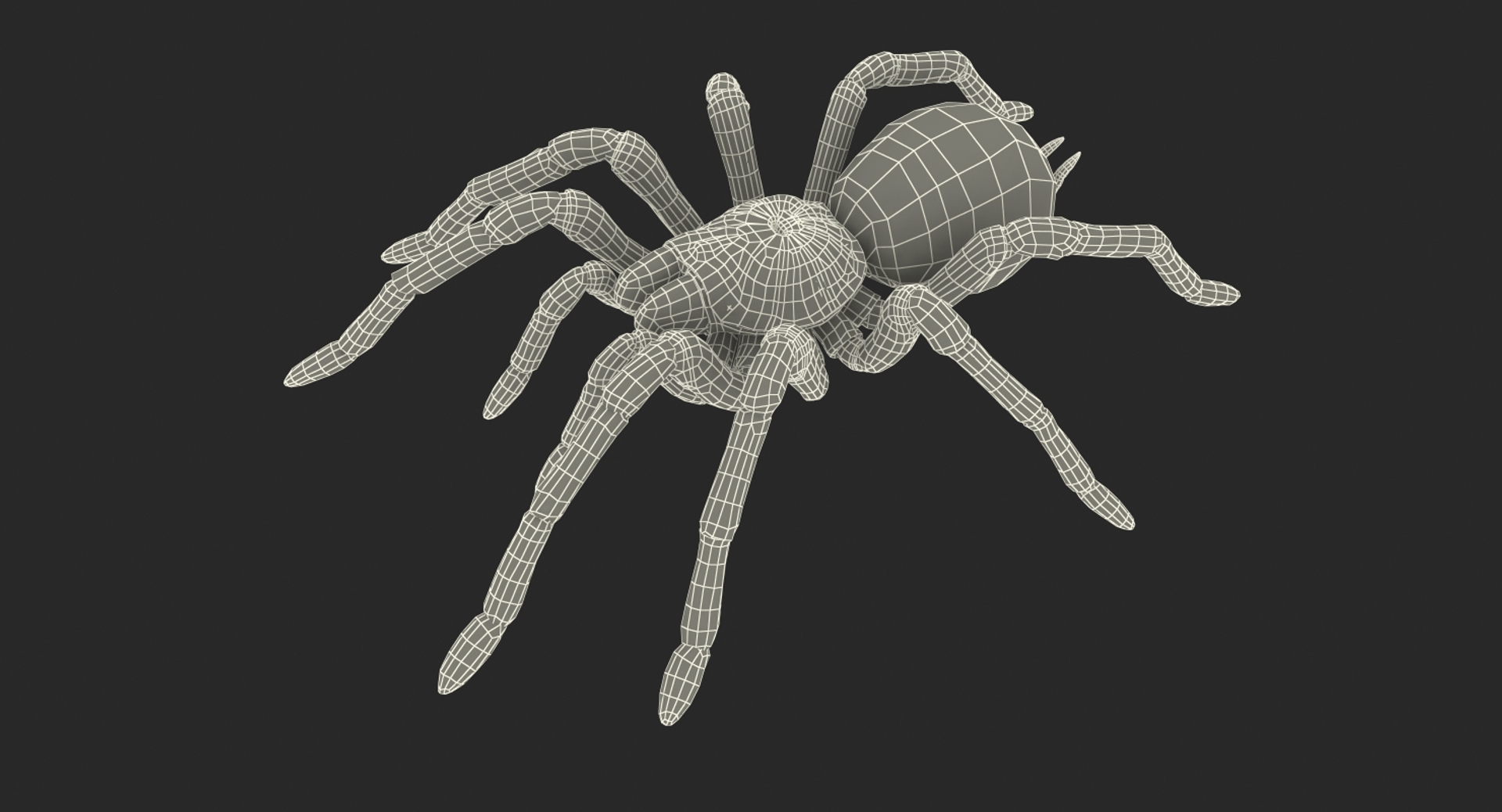 Creeping Insects Collection 6 3D model https://p.turbosquid.com/ts-thumb/PM/421YHf/6B/goliath_birdeater_361/jpg/1649715011/1920x1080/turn_fit_q99/8b9718c5aa0f1141f3af9b04e98495e2609c4509/goliath_birdeater_361-1.jpg