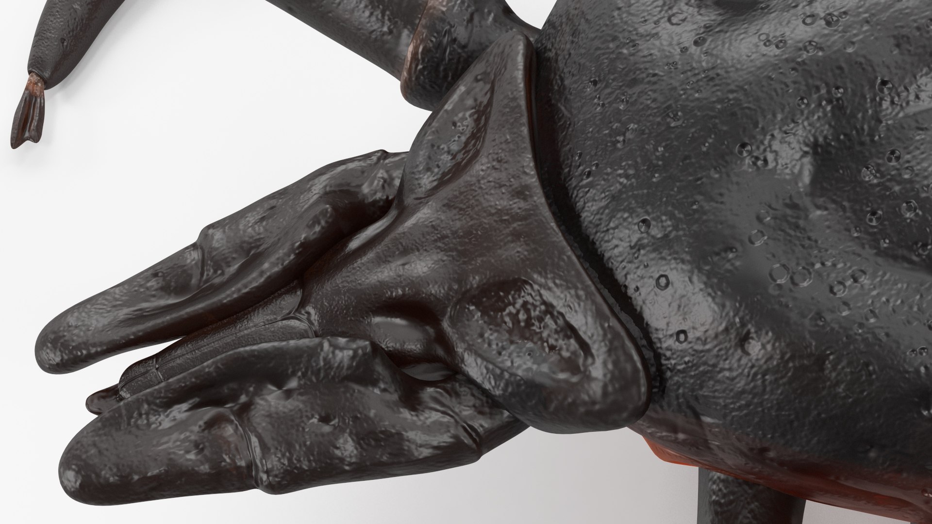 Creeping Insects Collection 6 3D model https://p.turbosquid.com/ts-thumb/PM/421YHf/6s/creepinginsectscollection63dsmodel013/jpg/1649712090/1920x1080/fit_q87/cf417bed212d58ebe7d1d1403ffd48310e592981/creepinginsectscollection63dsmodel013.jpg