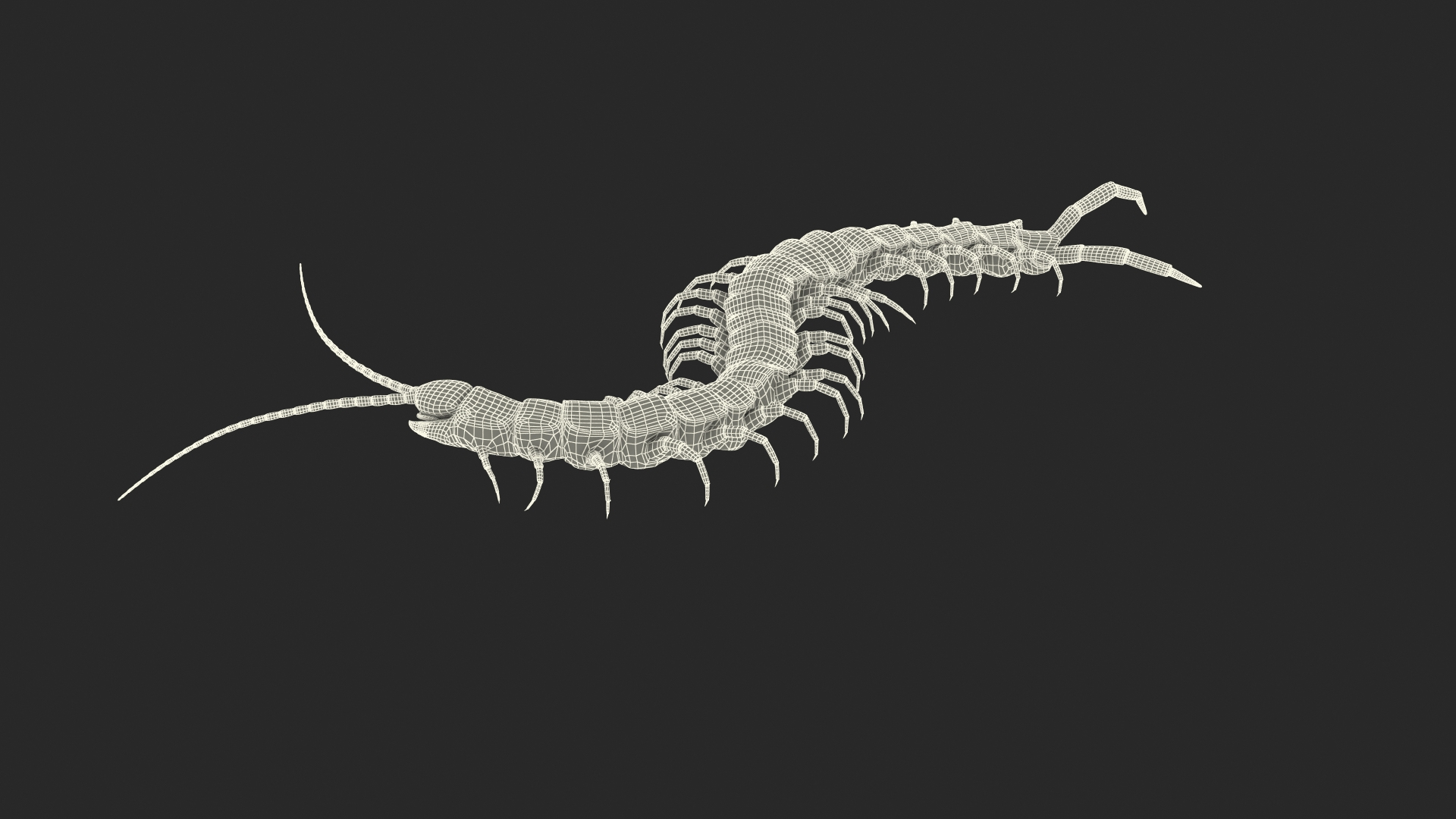 Creeping Insects Collection 6 3D model https://p.turbosquid.com/ts-thumb/PM/421YHf/7D/giant_desert_centipede_scolopendra_heros_crawling_361/jpg/1649712572/1920x1080/turn_fit_q99/05984aa83540a995a954348519f47d3244296da1/giant_desert_centipede_scolopendra_heros_crawling_361-1.jpg