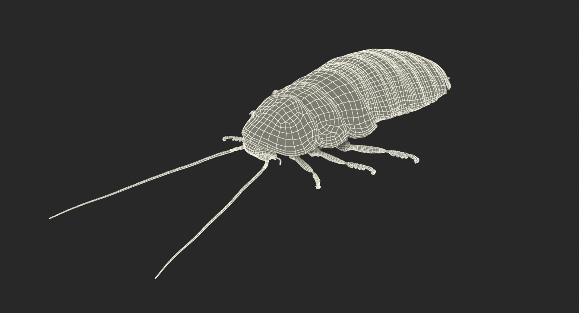 Creeping Insects Collection 6 3D model https://p.turbosquid.com/ts-thumb/PM/421YHf/Ba/madagascar_cockroach_361/jpg/1649714216/1920x1080/turn_fit_q99/b8b8ddffcb5abe2103566bd63e7e8f80e92fcf19/madagascar_cockroach_361-1.jpg