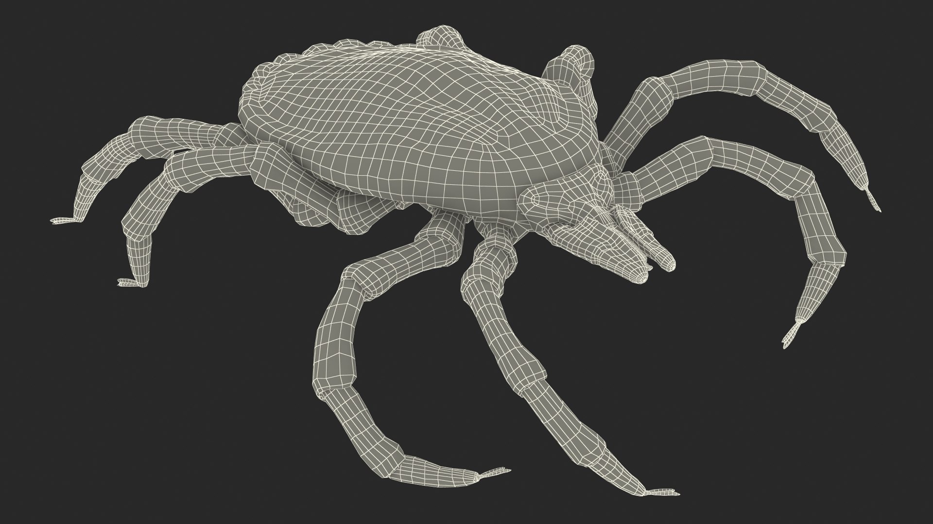 Creeping Insects Collection 6 3D model https://p.turbosquid.com/ts-thumb/PM/421YHf/Gv/creepinginsectscollection63dsmodel083/jpg/1649712290/1920x1080/fit_q87/8c821cbe5474e66ab74d34455aafa1cea1aaf3d8/creepinginsectscollection63dsmodel083.jpg