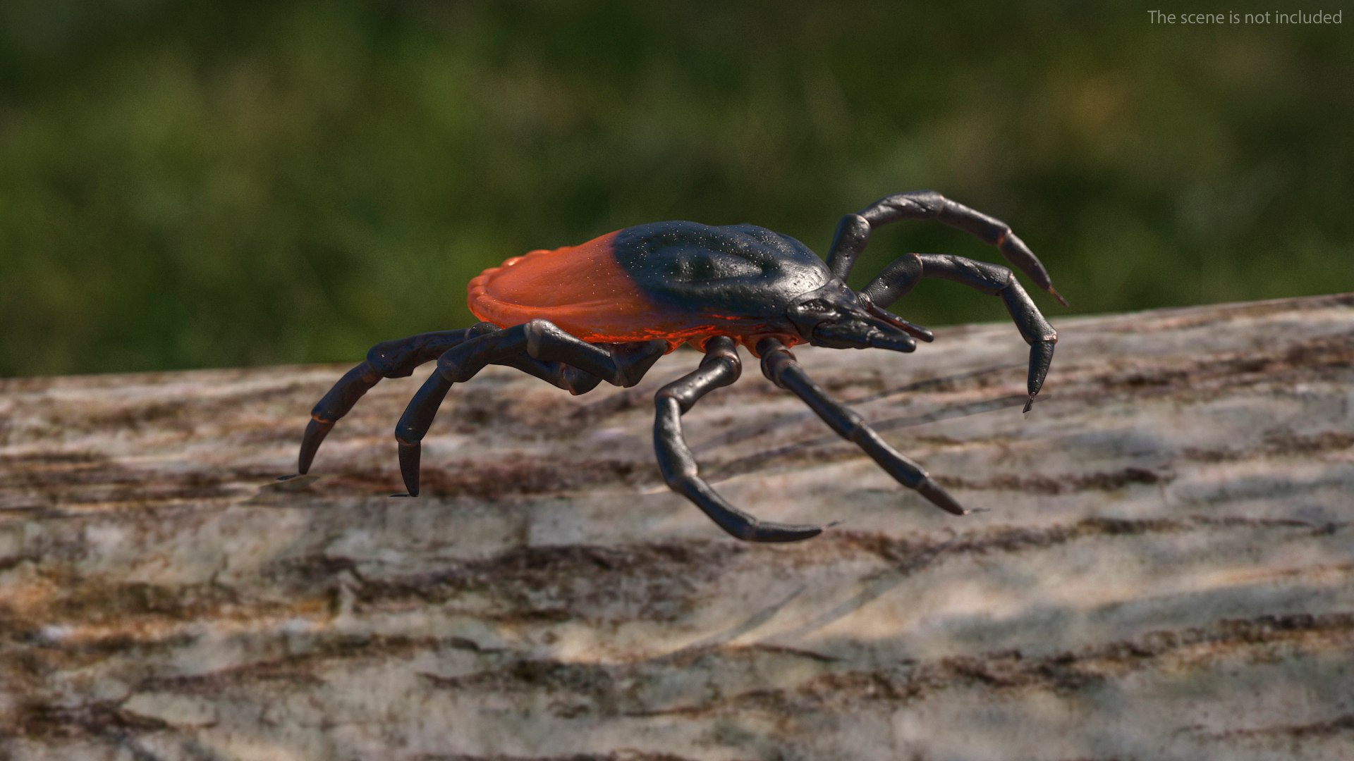 Creeping Insects Collection 6 3D model https://p.turbosquid.com/ts-thumb/PM/421YHf/SI/creepinginsectscollection63dsmodel003/jpg/1649712062/1920x1080/fit_q87/8bfc8e8f7e9d1ba4865f8767901f2f4d14ffcd1e/creepinginsectscollection63dsmodel003.jpg