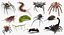 Creeping Insects Collection 6