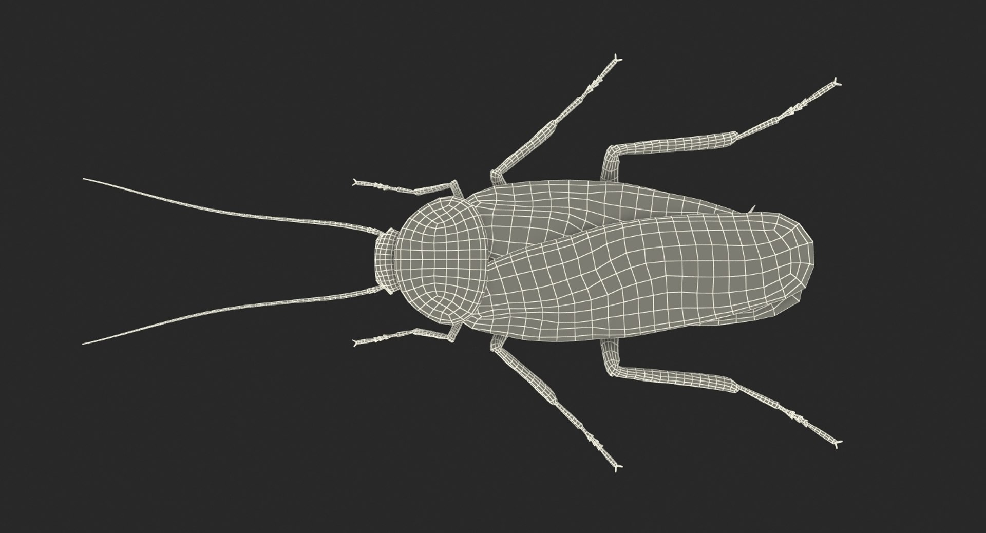 Creeping Insects Collection 6 3D model https://p.turbosquid.com/ts-thumb/PM/421YHf/Zw/creepinginsectscollection63dsmodel090/jpg/1649712309/1920x1080/fit_q87/9ceddbb279d57c3ed2e87dc3c71465f73e2aabf2/creepinginsectscollection63dsmodel090.jpg