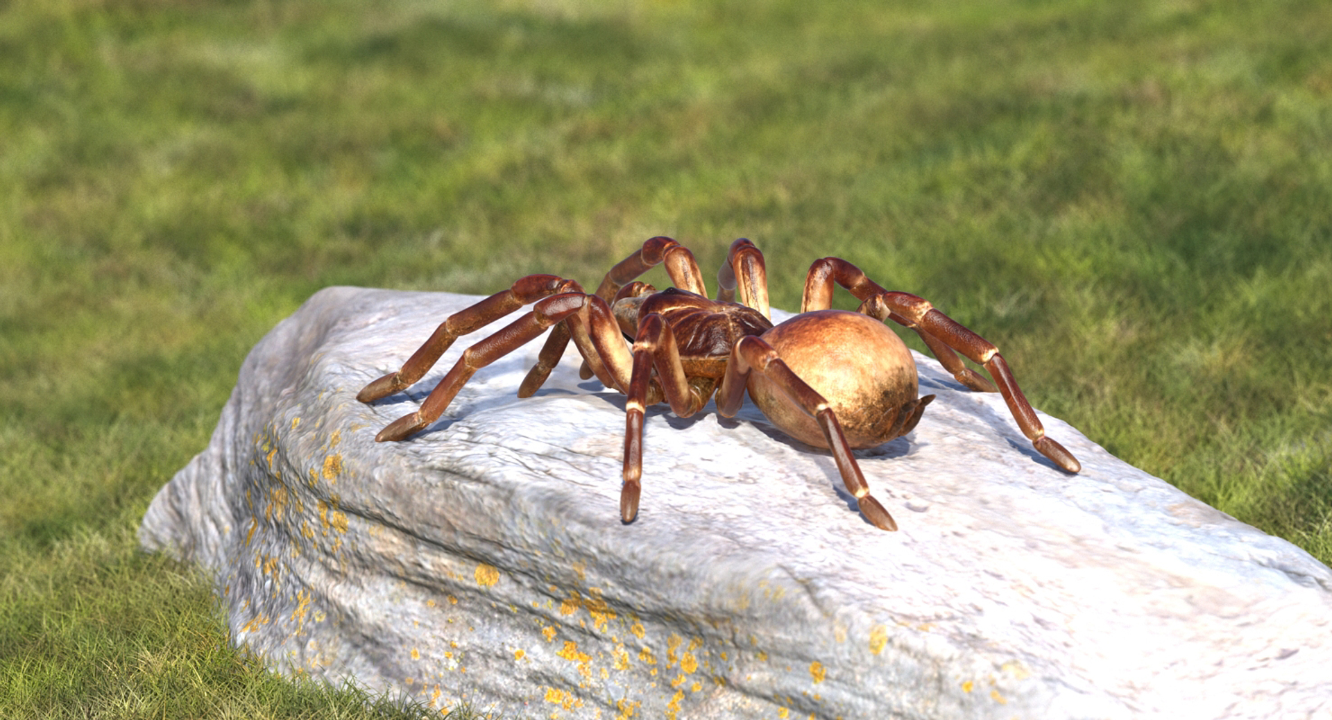 Creeping Insects Collection 6 3D model https://p.turbosquid.com/ts-thumb/PM/421YHf/di/goliath_birdeater_362/jpg/1649713744/1920x1080/turn_fit_q99/8a981627378ece5cd4ee9de7842f7ed4642f8125/goliath_birdeater_362-1.jpg