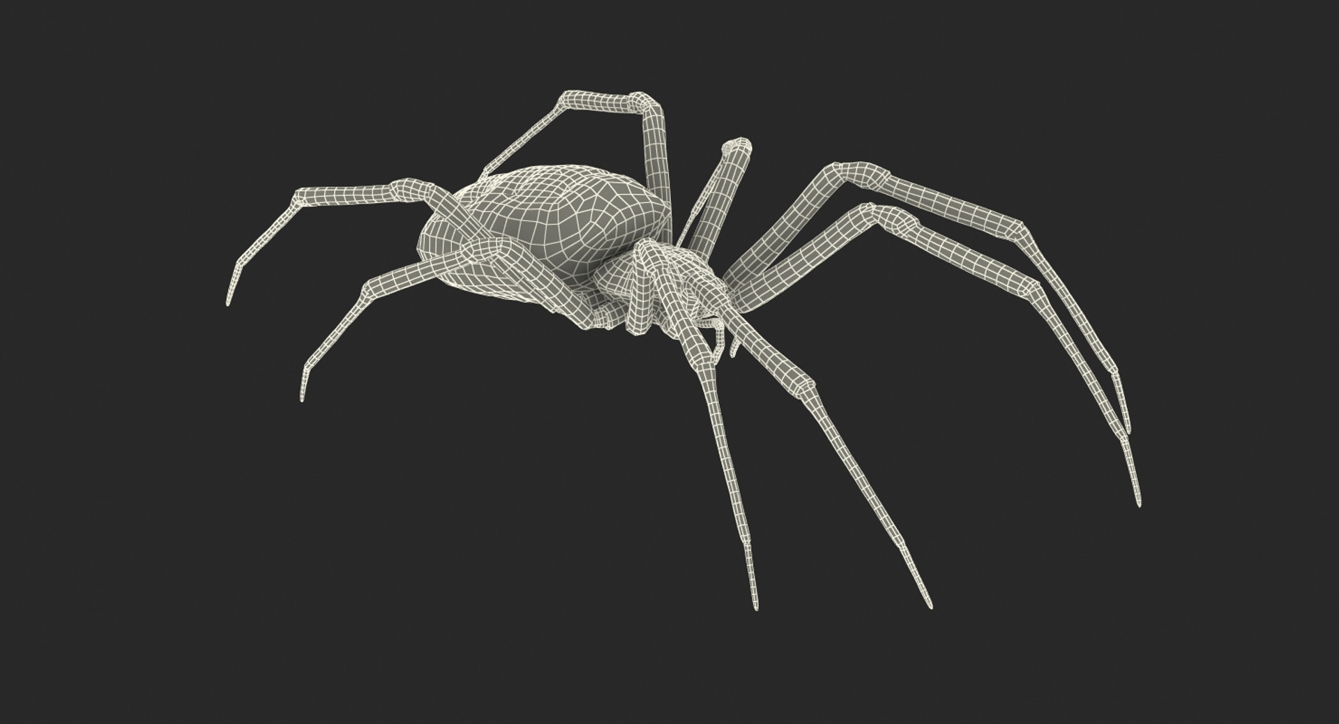 Creeping Insects Collection 6 3D model https://p.turbosquid.com/ts-thumb/PM/421YHf/he/argiope_aurantia_or_yellow_garden_spider_361/jpg/1649714057/1920x1080/turn_fit_q99/f4647c321d76e9d9abf21f043e94247617e74184/argiope_aurantia_or_yellow_garden_spider_361-1.jpg