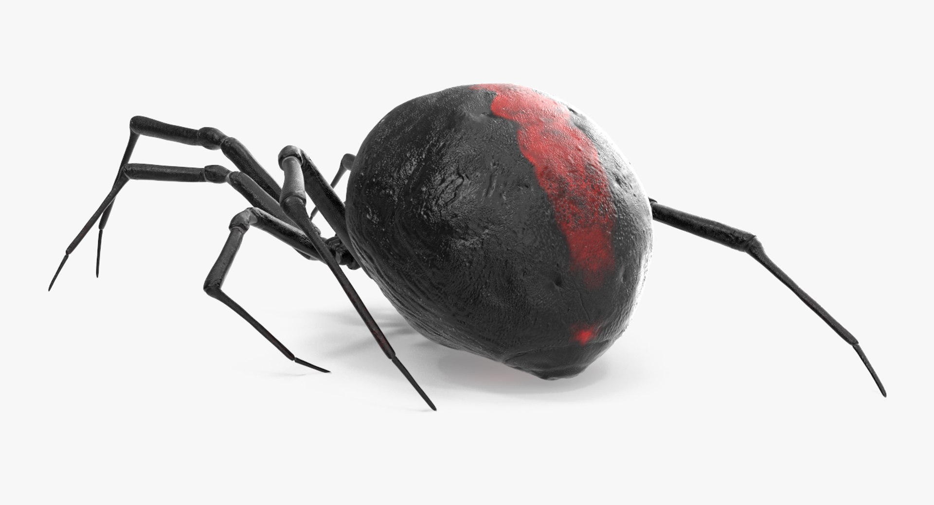 Creeping Insects Collection 6 3D model https://p.turbosquid.com/ts-thumb/PM/421YHf/ho/creepinginsectscollection63dsmodel018/jpg/1649712104/1920x1080/fit_q87/0a11165b44bfbd0adc9af48d6d630871f0921152/creepinginsectscollection63dsmodel018.jpg
