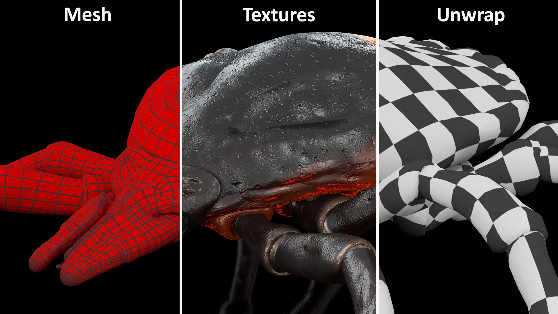 Creeping Insects Collection 6 3D model https://p.turbosquid.com/ts-thumb/PM/421YHf/pJ/creepinginsectscollection63dsmodel007/jpg/1649712074/1920x1080/fit_q87/08f46945937bc980126e119b30f078650ed73081/creepinginsectscollection63dsmodel007.jpg
