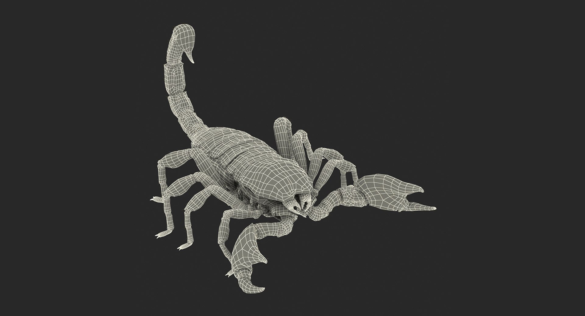 Creeping Insects Collection 6 3D model https://p.turbosquid.com/ts-thumb/PM/421YHf/wn/creepinginsectscollection63dsmodel094/jpg/1649712320/1920x1080/fit_q87/320a7883a0de7a29b3712296241d2140751f25c3/creepinginsectscollection63dsmodel094.jpg